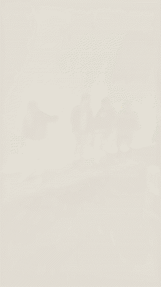 DFCN — Christmas Edition · 20.12.2025